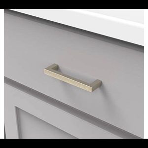 Elusive Golden Nickel Pull Handles -4